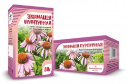 Эхинацея, фильтр-пакет 1.5 г 20 шт